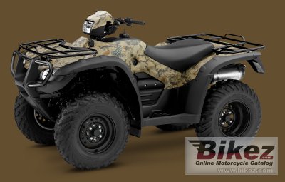 2010 Honda FourTrax Foreman 4x4 photo